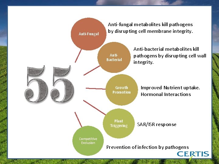 Anti-Fungal Anti-fungal metabolites kill pathogens by disrupting cell membrane integrity. Anti. Bacterial Growth Promotion