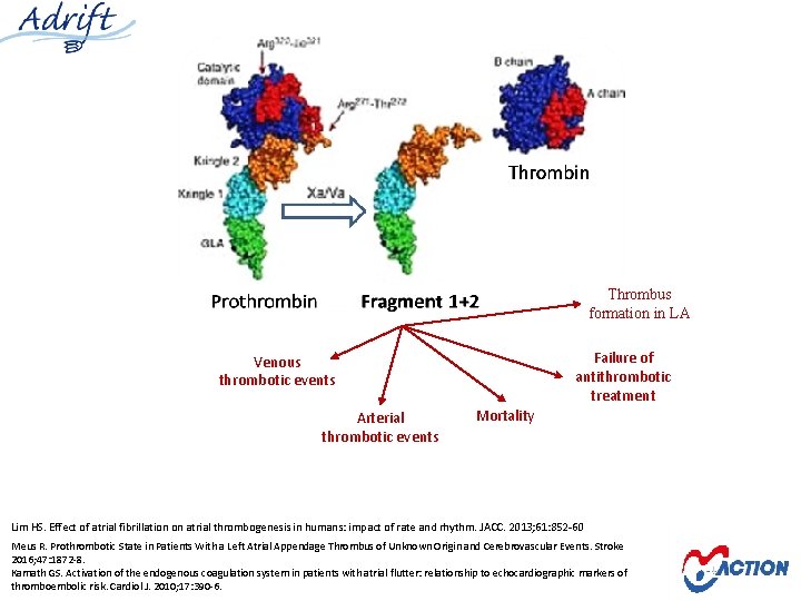 Thrombus formation in LA Failure of antithrombotic treatment Venous thrombotic events Arterial thrombotic events