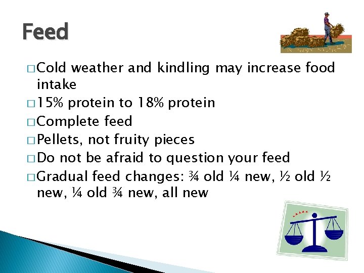 Feed � Cold weather and kindling may increase food intake � 15% protein to