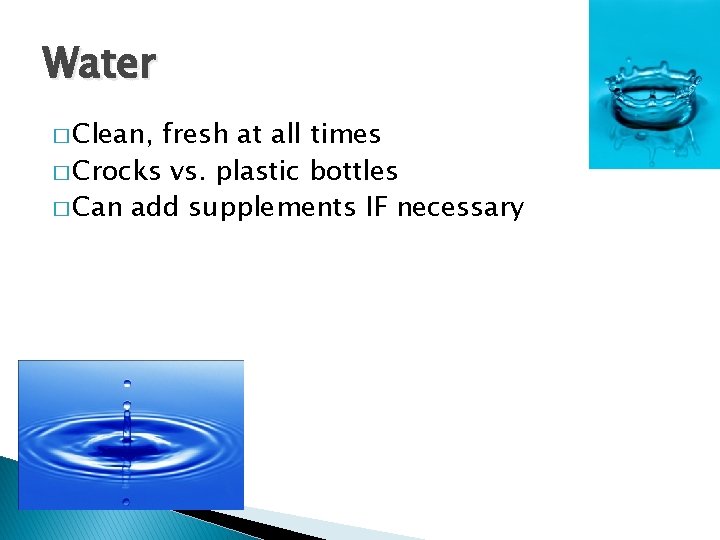 Water � Clean, fresh at all times � Crocks vs. plastic bottles � Can