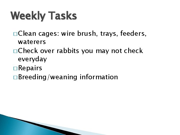 Weekly Tasks � Clean cages: wire brush, trays, feeders, waterers � Check over rabbits