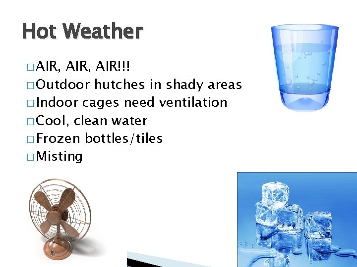 Hot Weather � AIR, AIR!!! � Outdoor hutches in shady areas � Indoor cages