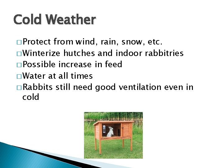 Cold Weather � Protect from wind, rain, snow, etc. � Winterize hutches and indoor