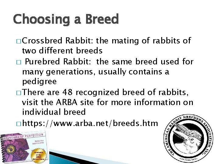 Choosing a Breed � Crossbred Rabbit: the mating of rabbits of two different breeds