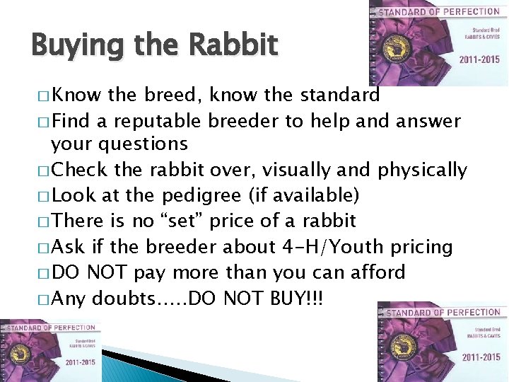 Buying the Rabbit � Know the breed, know the standard � Find a reputable