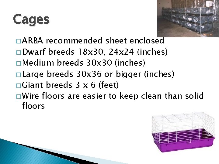 Cages � ARBA recommended sheet enclosed � Dwarf breeds 18 x 30, 24 x