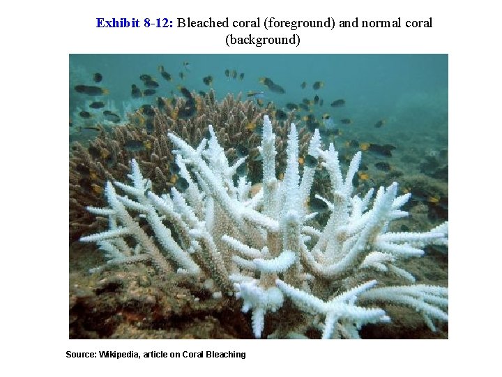 Exhibit 8 -12: Bleached coral (foreground) and normal coral (background) Source: Wikipedia, article on