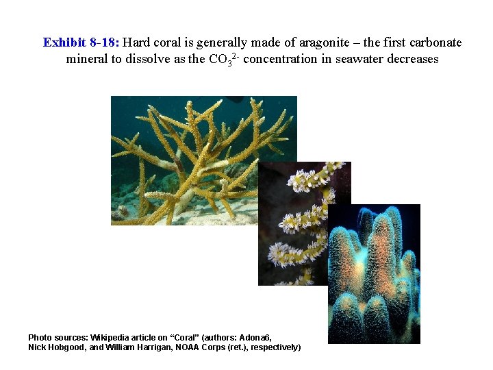 Exhibit 8 -18: Hard coral is generally made of aragonite – the first carbonate
