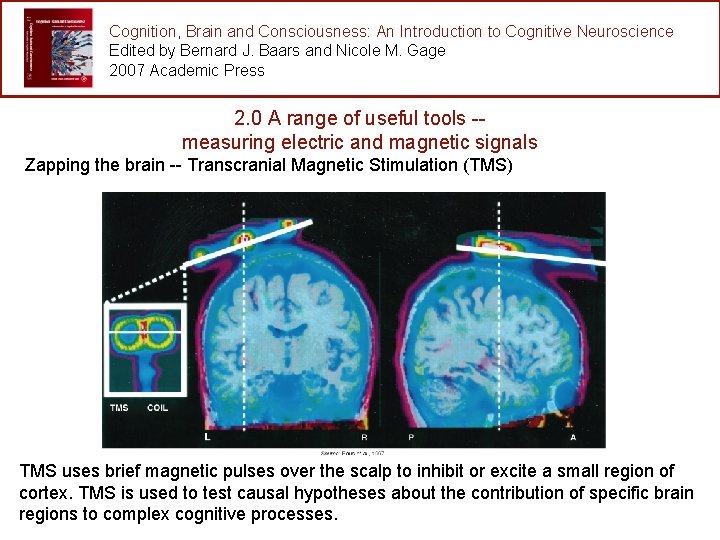 Cognition, Brain and Consciousness: An Introduction to Cognitive Neuroscience Edited by Bernard J. Baars