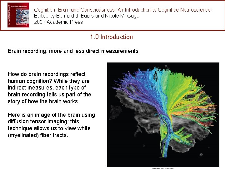 Cognition, Brain and Consciousness: An Introduction to Cognitive Neuroscience Edited by Bernard J. Baars