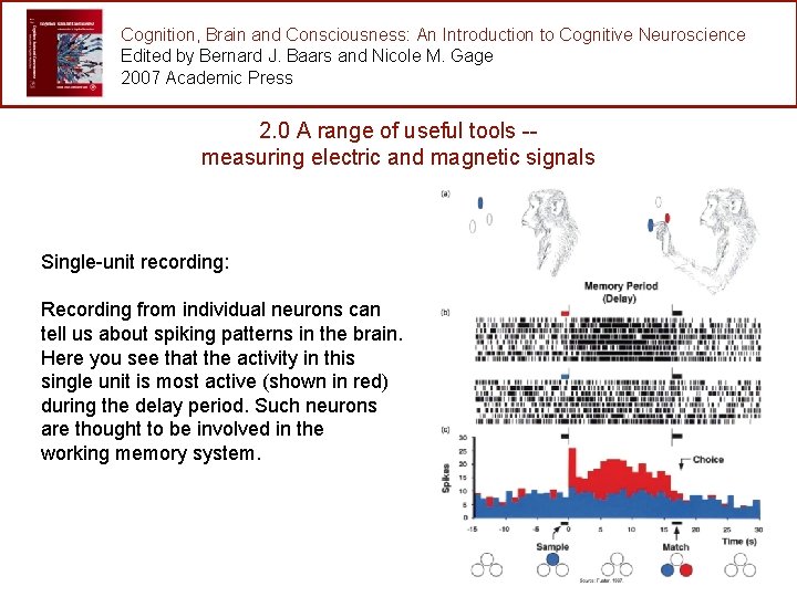 Cognition, Brain and Consciousness: An Introduction to Cognitive Neuroscience Edited by Bernard J. Baars