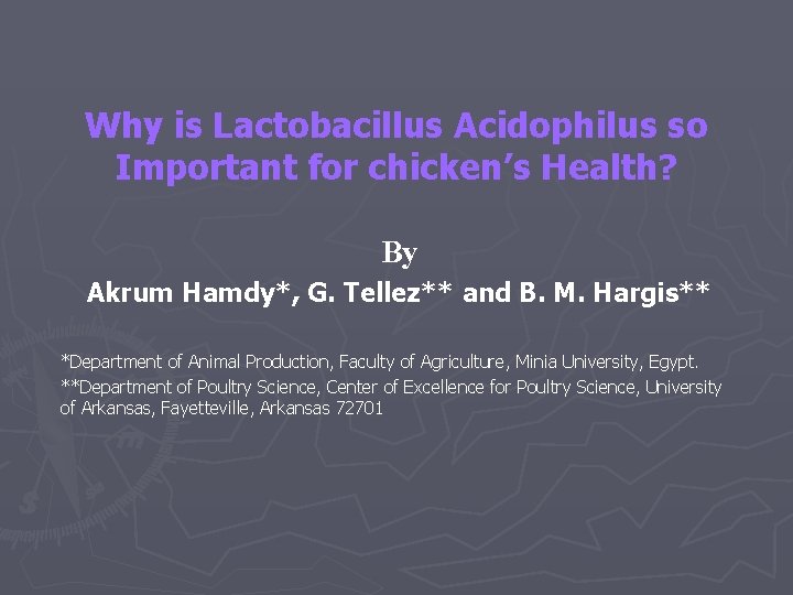 Why Is Lactobacillus Acidophilus So Important For Chickens