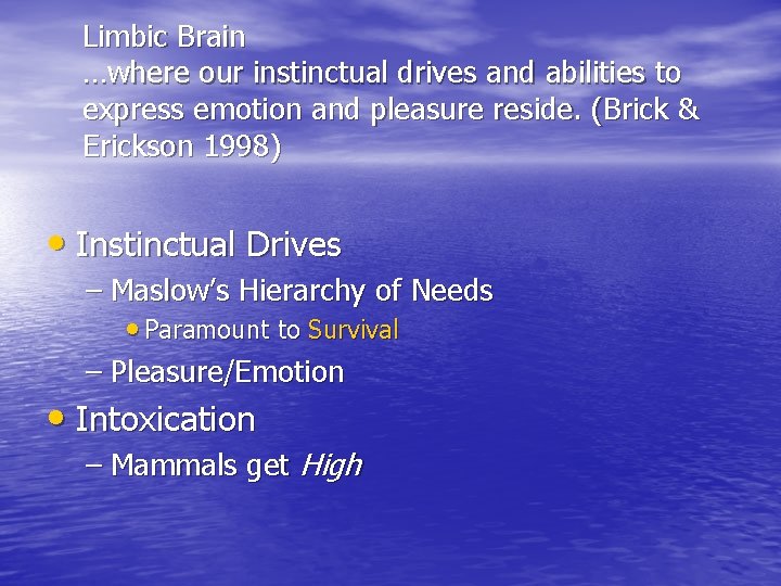 Limbic Brain …where our instinctual drives and abilities to express emotion and pleasure reside.