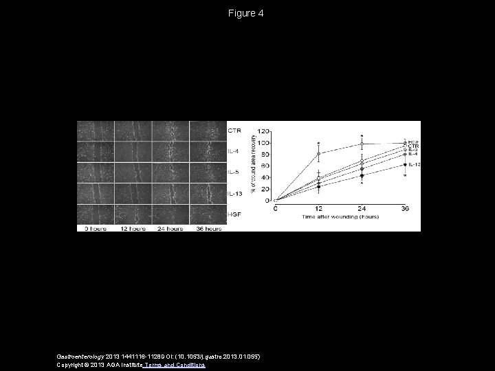 Figure 4 Gastroenterology 2013 1441116 -1128 DOI: (10. 1053/j. gastro. 2013. 01. 055) Copyright