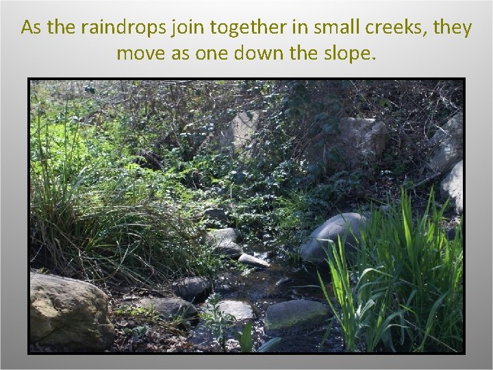As the raindrops join together in small creeks, they move as one down the