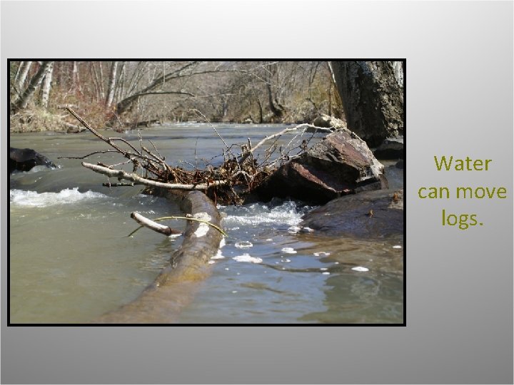 Water can move logs. 