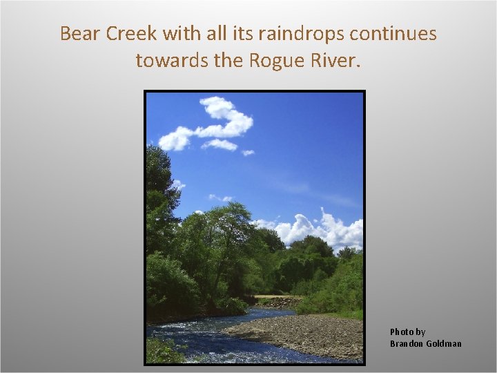 Bear Creek with all its raindrops continues towards the Rogue River. Photo by Brandon