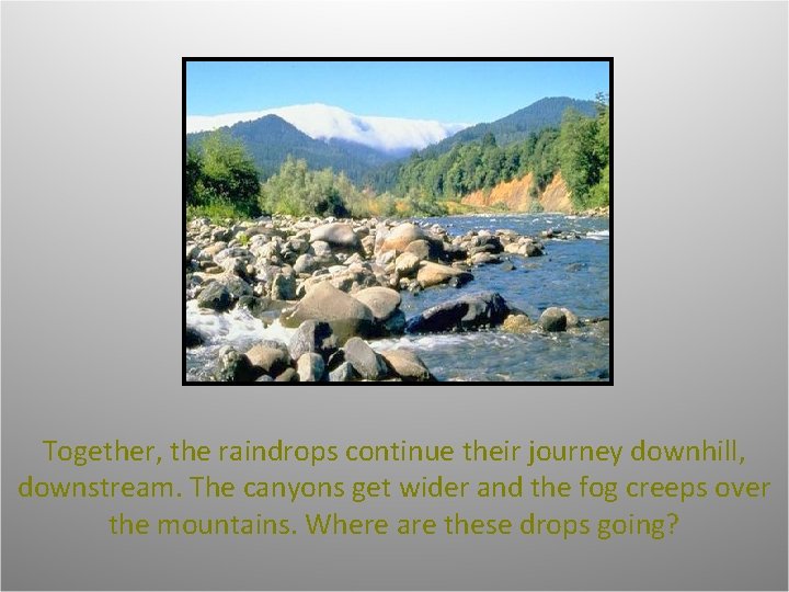 Together, the raindrops continue their journey downhill, downstream. The canyons get wider and the