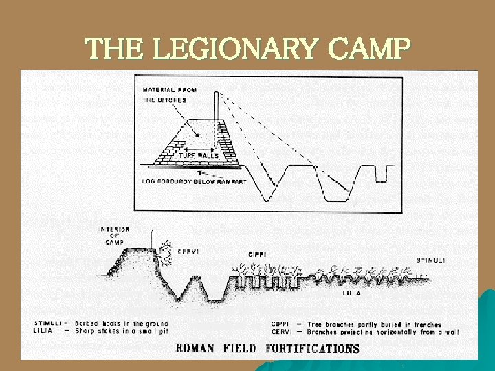 THE LEGIONARY CAMP 