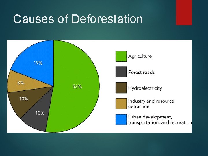 Causes of Deforestation 