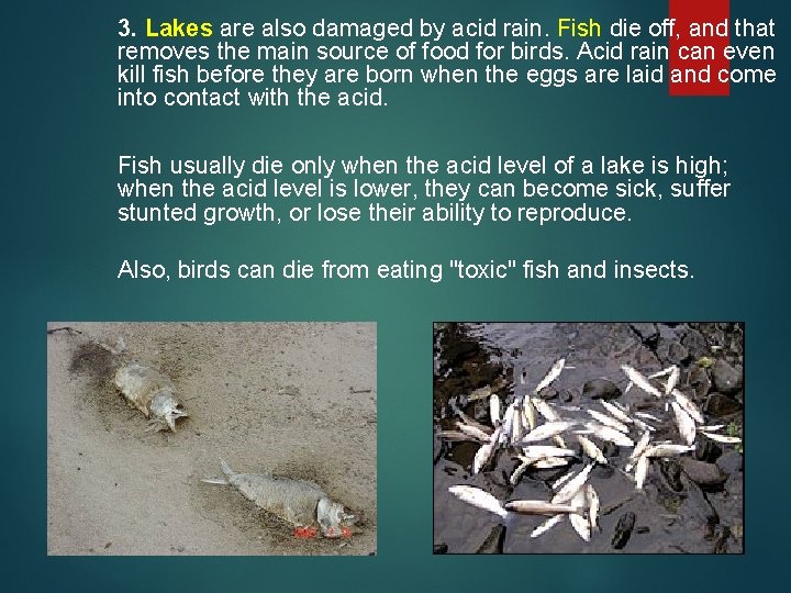 3. Lakes are also damaged by acid rain. Fish die off, and that removes