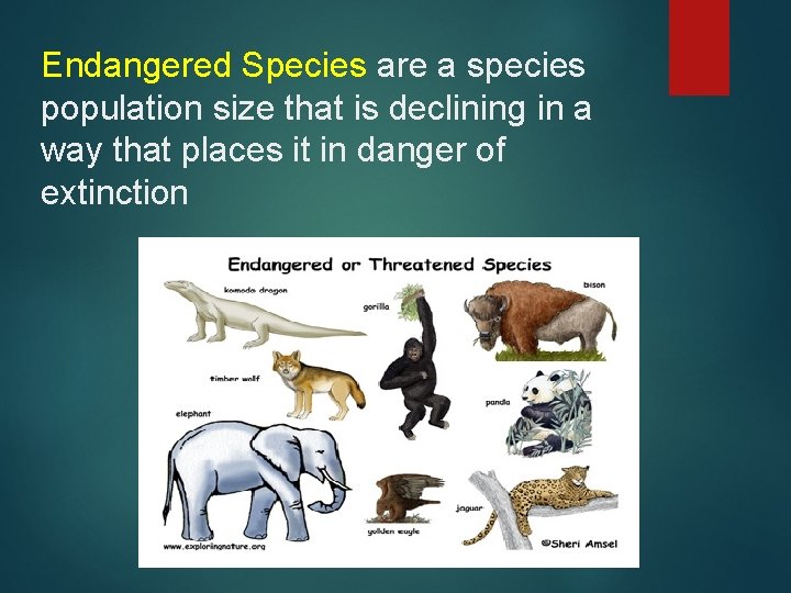 Endangered Species are a species population size that is declining in a way that