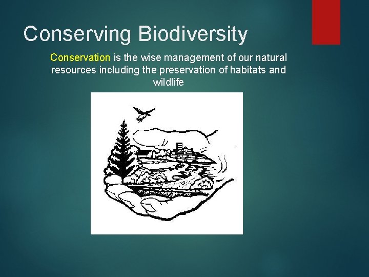 Conserving Biodiversity Conservation is the wise management of our natural resources including the preservation