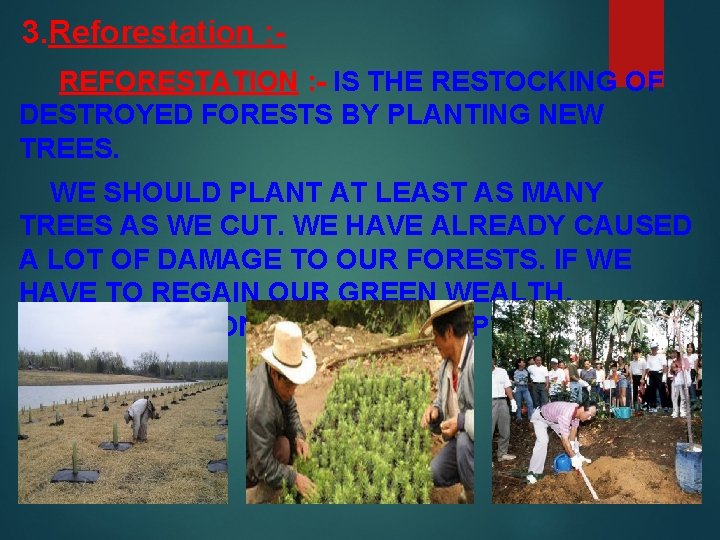 3. Reforestation : REFORESTATION : - IS THE RESTOCKING OF DESTROYED FORESTS BY PLANTING