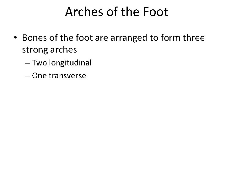 Arches of the Foot • Bones of the foot are arranged to form three