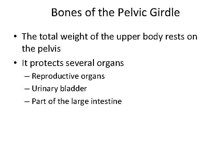 Bones of the Pelvic Girdle • The total weight of the upper body rests