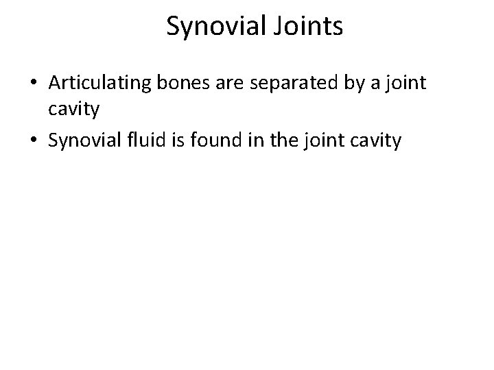 Synovial Joints • Articulating bones are separated by a joint cavity • Synovial fluid