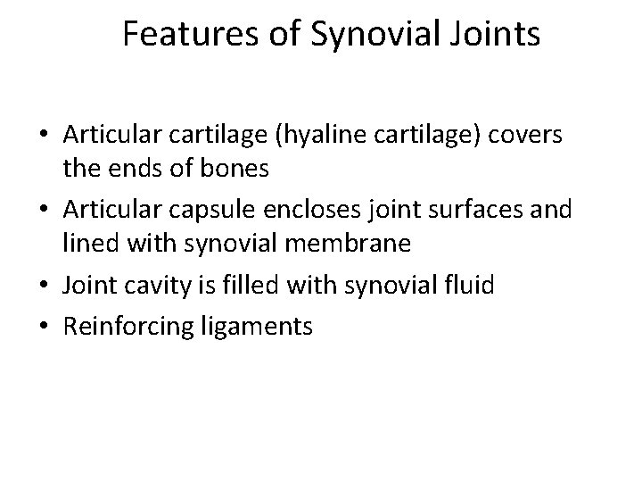 Features of Synovial Joints • Articular cartilage (hyaline cartilage) covers the ends of bones