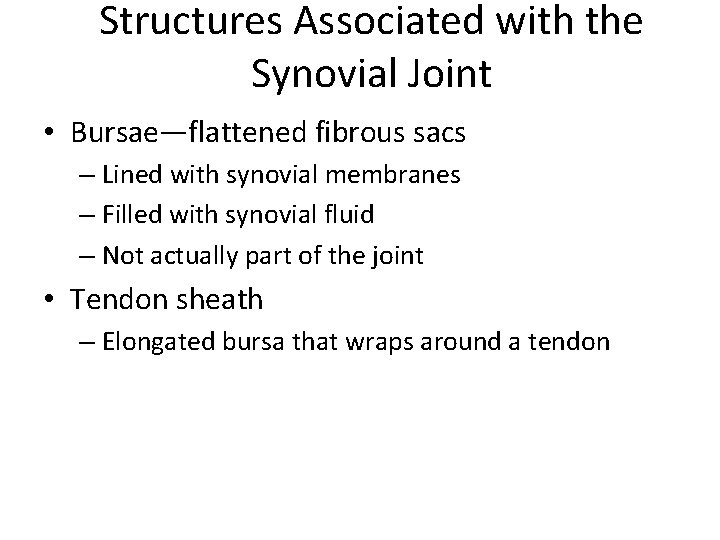 Structures Associated with the Synovial Joint • Bursae—flattened fibrous sacs – Lined with synovial