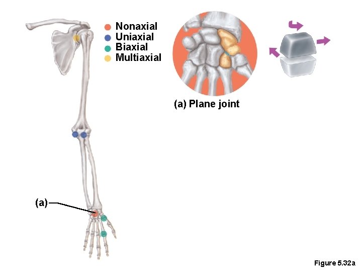 Nonaxial Uniaxial Biaxial Multiaxial (a) Plane joint (a) Figure 5. 32 a 