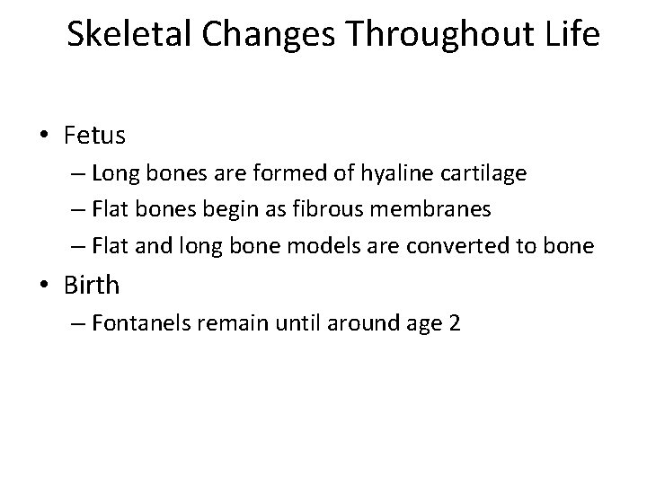 Skeletal Changes Throughout Life • Fetus – Long bones are formed of hyaline cartilage