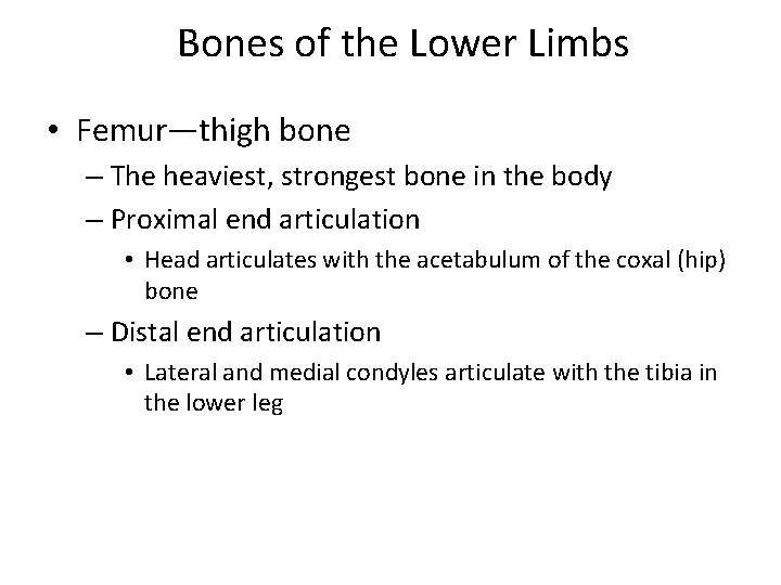Bones of the Lower Limbs • Femur—thigh bone – The heaviest, strongest bone in