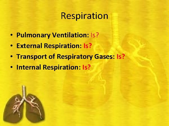 Respiration • • Pulmonary Ventilation: Is? External Respiration: Is? Transport of Respiratory Gases: Is?