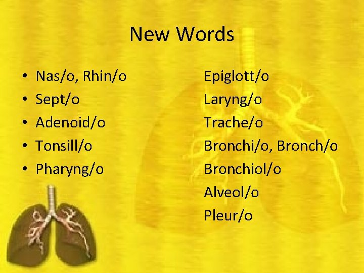 New Words • • • Nas/o, Rhin/o Sept/o Adenoid/o Tonsill/o Pharyng/o Epiglott/o Laryng/o Trache/o