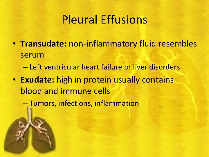 Pleural Effusions • Transudate: non-inflammatory fluid resembles serum – Left ventricular heart failure or
