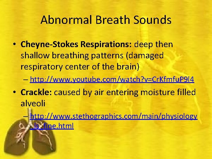 Abnormal Breath Sounds • Cheyne-Stokes Respirations: deep then shallow breathing patterns (damaged respiratory center