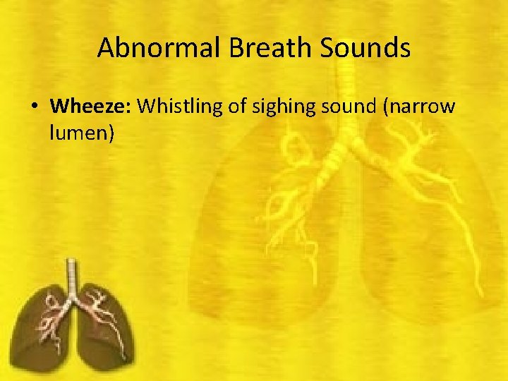 Abnormal Breath Sounds • Wheeze: Whistling of sighing sound (narrow lumen) 