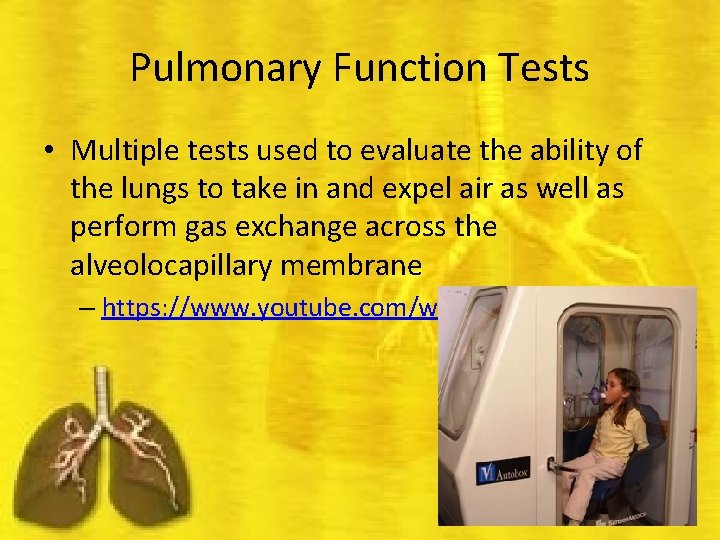 Pulmonary Function Tests • Multiple tests used to evaluate the ability of the lungs