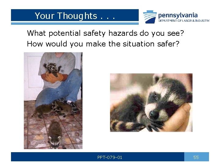 Your Thoughts. . . What potential safety hazards do you see? How would you