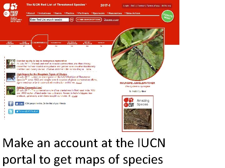 Make an account at the IUCN portal to get maps of species 