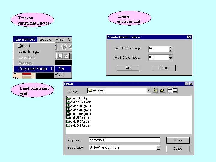 Turn on constraint Factor Load constraint grid Create environment 