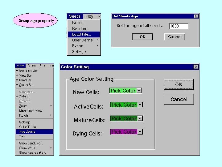 Setup age property 