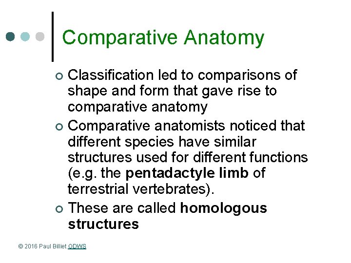 Comparative Anatomy Classification led to comparisons of shape and form that gave rise to