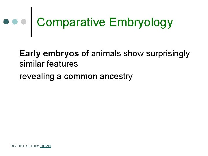 Comparative Embryology Early embryos of animals show surprisingly similar features revealing a common ancestry
