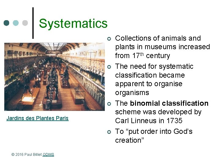 Systematics ¢ ¢ ¢ Jardins des Plantes Paris ¢ © 2016 Paul Billiet ODWS