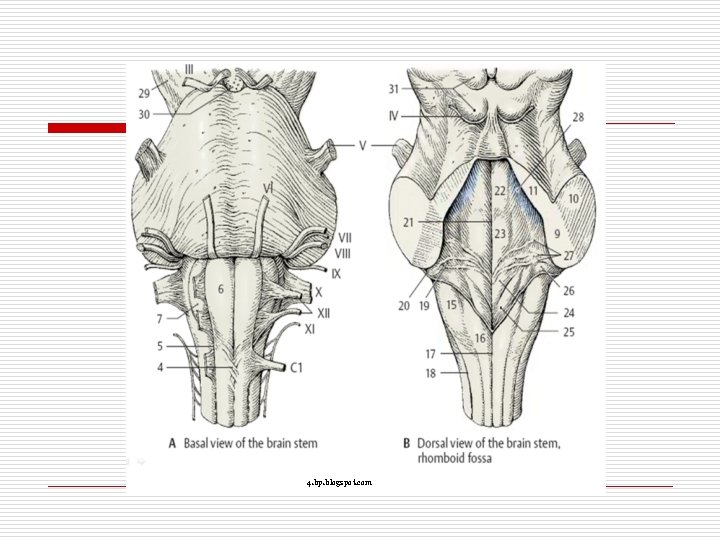 4. bp. blogspot. com 